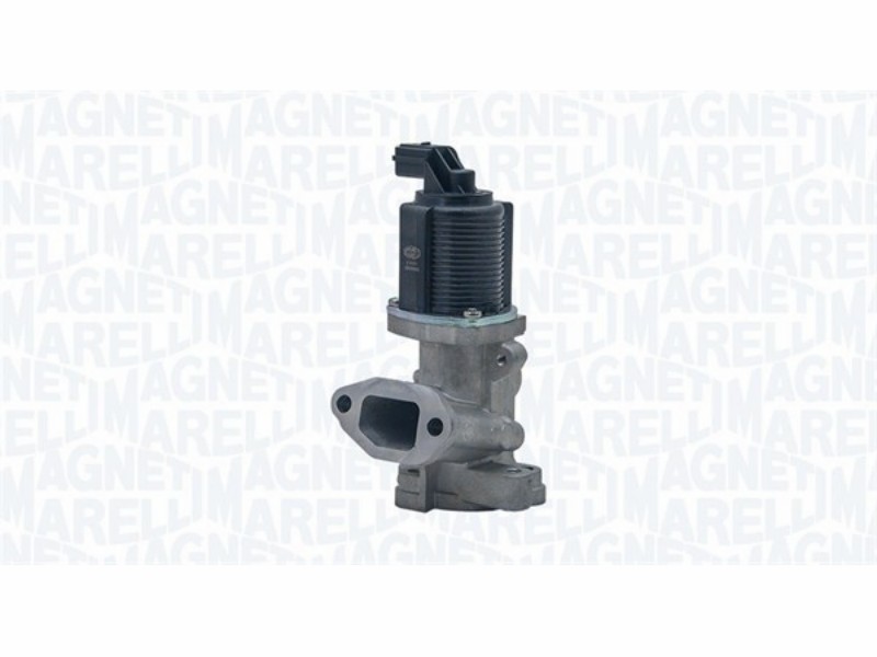 Valvola EGR fca-opel
