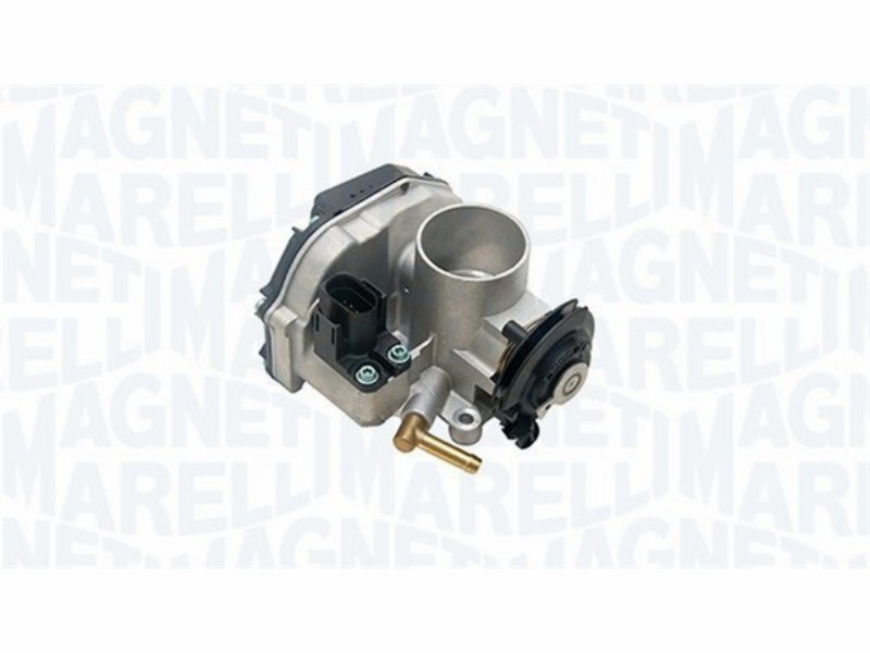 Corpo farfallato VW