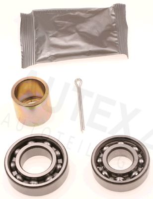 Strut mount