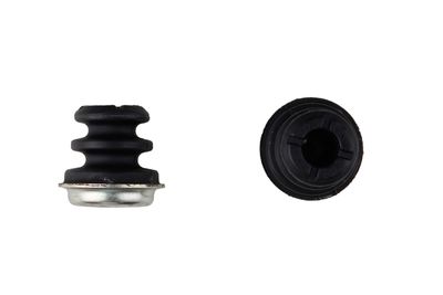 Tamp. auto auto +2 I