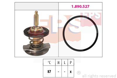 EPS 1.880.807 / Termostato, Refrigerante Made in Italy - OE Equivalent