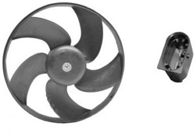 Fan