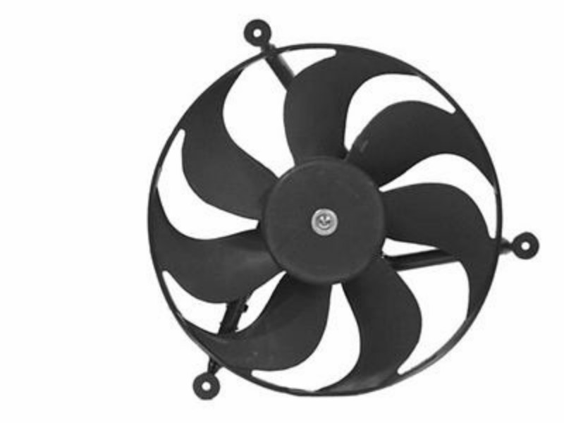 Fan