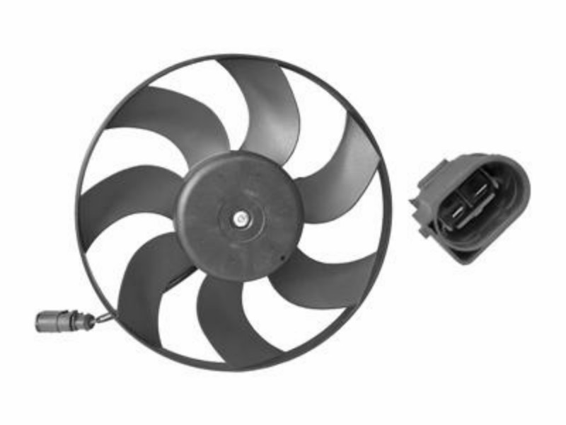 Fan