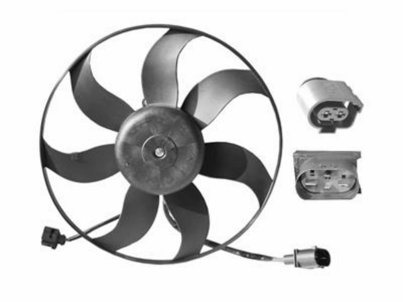 Fan