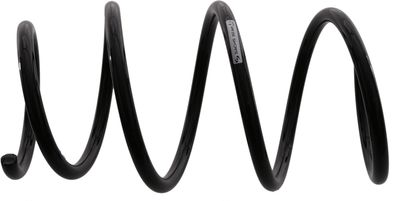 Coil spring BMW X3