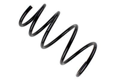 Coil spring BMW X3