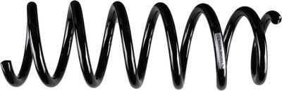 BMW 5 coil spring