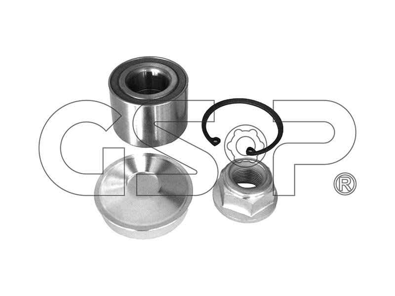 V3525 - Kit cuscinetto ruota posteriore Renault Clio II 1,5 dCi