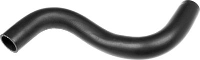 Curved hose