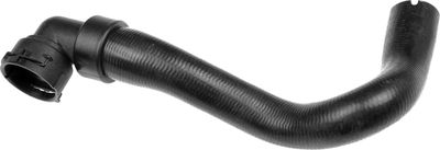 Curved hose