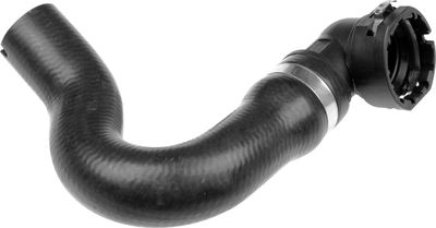 Curved hose