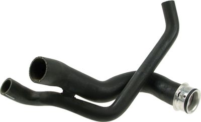 Curved hose