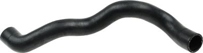 Curved hose