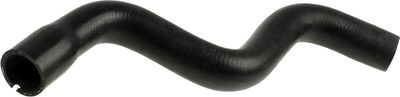 Curved hose