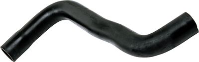 Curved hose