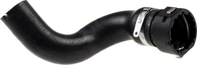 Curved hose