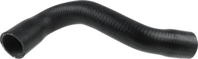 Curved hose