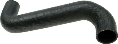 Curved hose