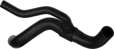 Curved hose