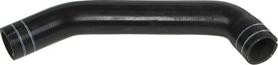 Curved hose
