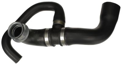 Curved hose