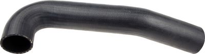 Curved hose
