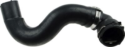 Curved hose