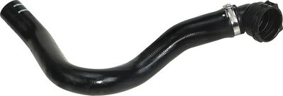 Curved hose