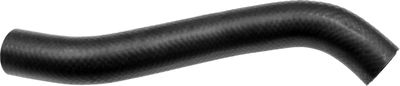 Curved Hose