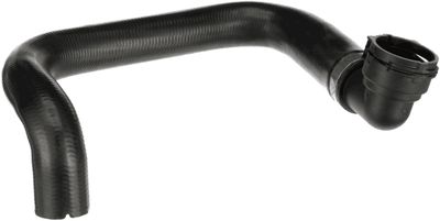 Curved hose