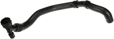 Curved hose