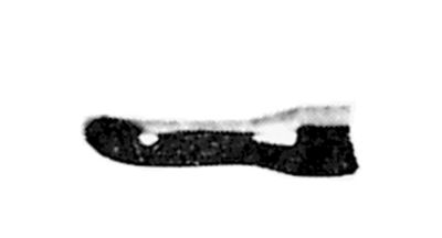 AR-RAPRO hose