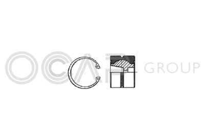 AR-RAPRO hose