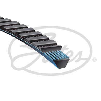 GATES 11M775 / Cinghia trapezoidale