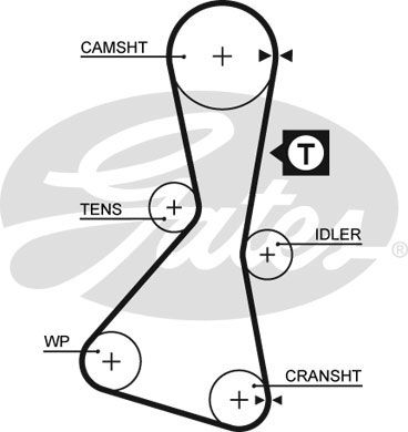 Cherry (N12) sunny I (B11) sunny I traveller (B11) sunny II hatchback (N13) sunny II (N13) sunny II traveller (B12) sunny furgonato (Y10)