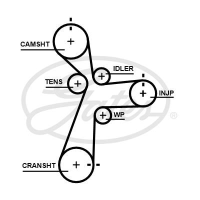 PowerGrip© Belt