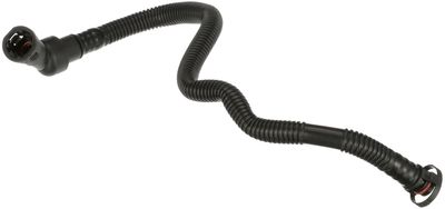 Pipe