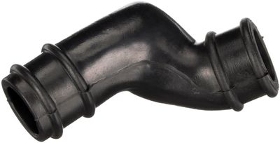 Crankcase ventilation hose