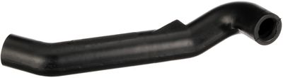 Crankcase ventilation hose
