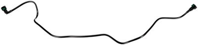 Pipe
