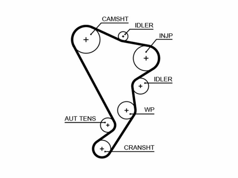Timing belt kit