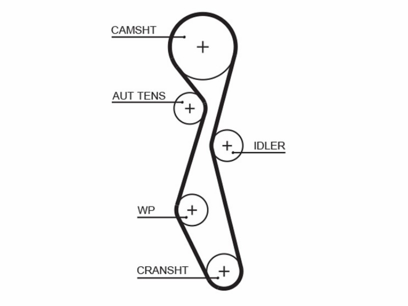 Kit cinghie dentate citr-ford-peug . 2,2 HDI 06-