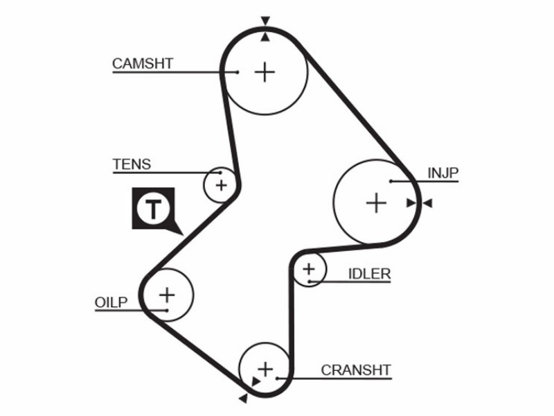 Timing belt kit