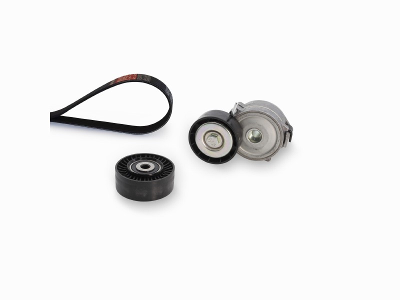 Kit cinghie Poly-V Land Rover