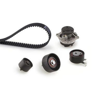 Kit distr. + p.a. Ford (europe)