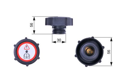 RC243 expansion tank cap