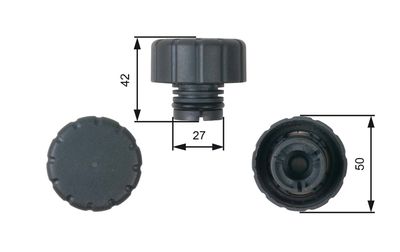 RC244 expansion tank cap