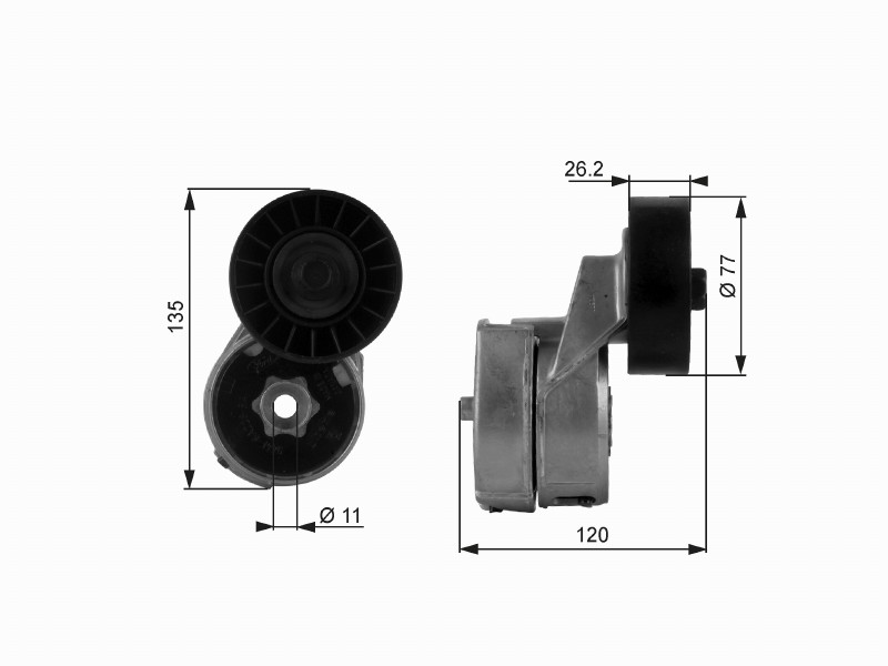 GATES T38443 / Tendicinghia, Cinghia Poly-V DriveAlign®