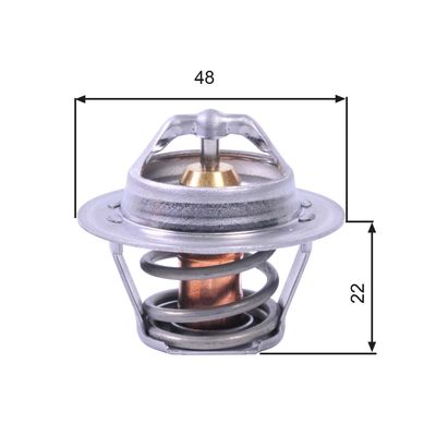 Thermostat